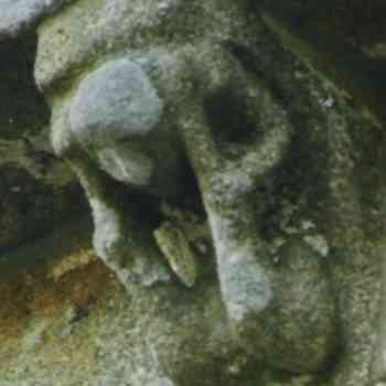 Click para ampliar. Pulsa en el nombre para ver la ficha. Sheela